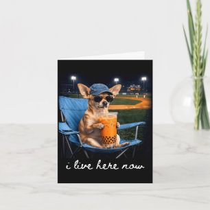 Chihuahua drink iced coffee baseball field live card