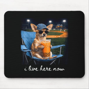Chihuahua drink iced coffee baseball field live mouse mat