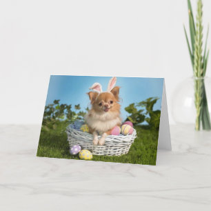Chihuahua Easter Bunny Card