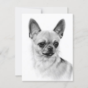 Chihuahua Expression Hand Painted Artwork Postcard