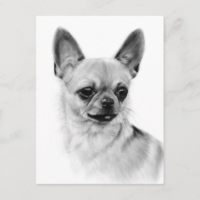 Chihuahua Expression Hand Painted Artwork Postcard (Front)