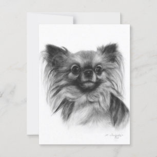 Chihuahua Face - Hand Painted Pet Portrait Postcard