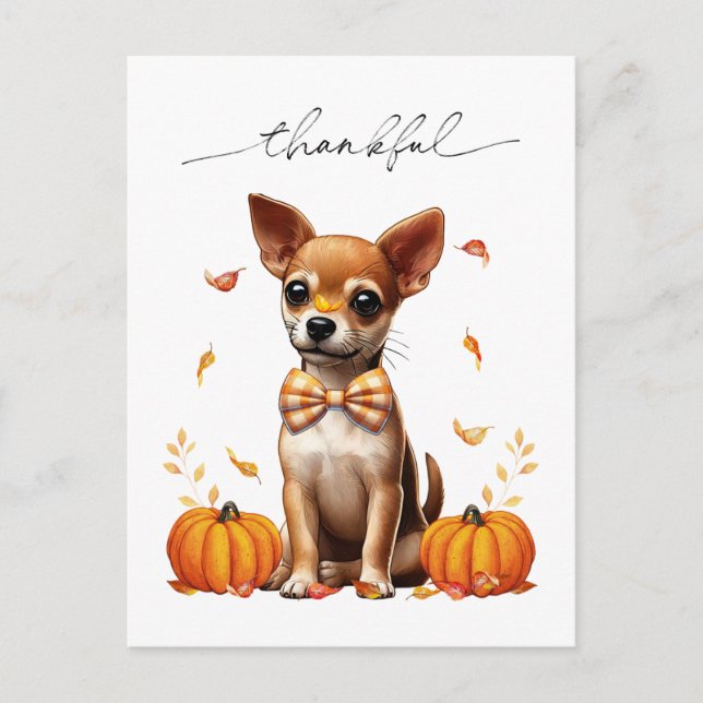 Chihuahua Fall Thankful Thanksgiving Greeting Card (Front)