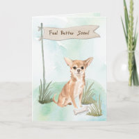 Chihuahua Feel Better After Surgery to Dog