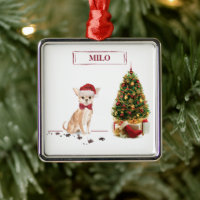 Chihuahua Funny Christmas Dog with Tree