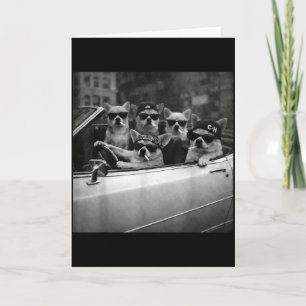 Chihuahua Gangster Dog Street Funny Chihuahua Smok Card