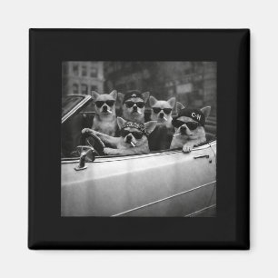 Chihuahua Gangster Dog Street Funny Chihuahua Smok Magnet