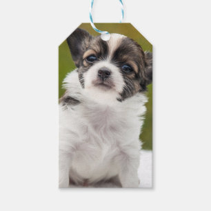 Chihuahua Gift Tags