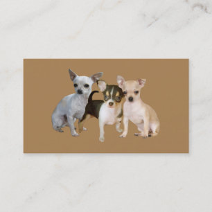 Chihuahua Happy Trio Breeder Business Card