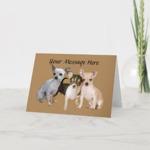 Chihuahua Happy Trio Greeting Card
