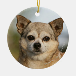 Chihuahua Headshot Ceramic Tree Decoration