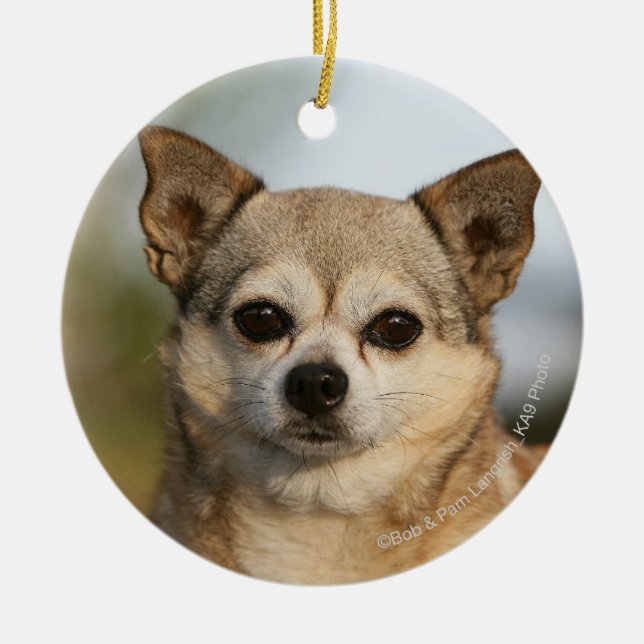 Chihuahua Headshot Ceramic Tree Decoration (Front)
