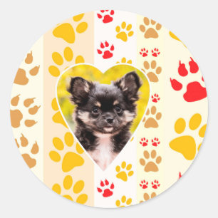 Chihuahua Heart Paw Prints Classic Round Sticker