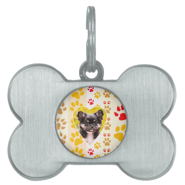 Chihuahua Heart Paw Prints Pet Name Tag (Front)