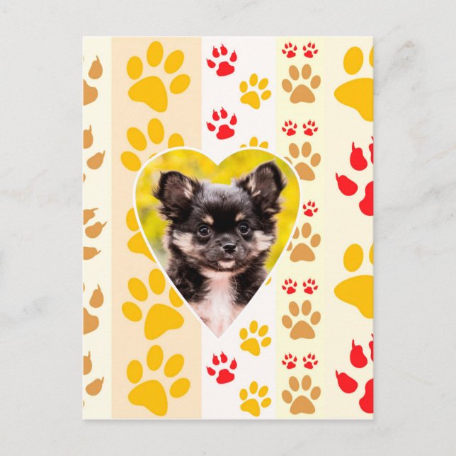 Chihuahua Heart Paw Prints Postcard (Front)