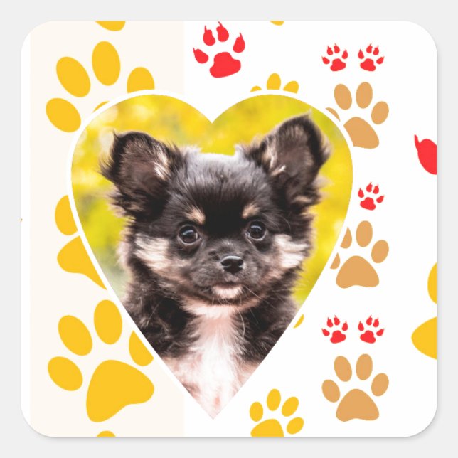 Chihuahua Heart Paw Prints Square Sticker (Front)