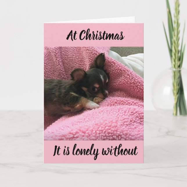 **CHIHUAHUA** HELPS U SAY *MISS YOU AT CHRISTMAS* HOLIDAY CARD (Front)