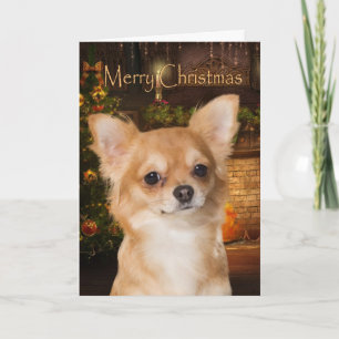 Chihuahua Holiday Card