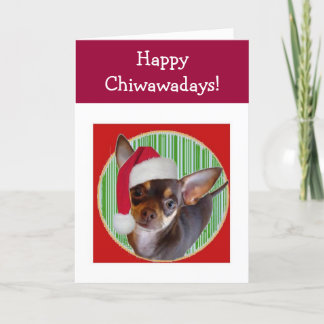 Chihuahua Holiday Card