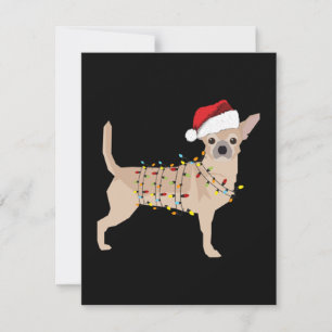 Chihuahua Holiday Christmas Light Thank You Card