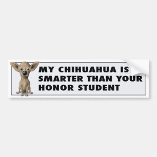 Chihuahua Honour CHI1 Bumper Sticker