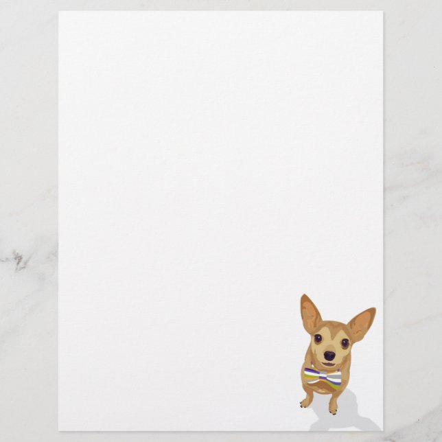 Chihuahua in a bowtie on white background (Front)