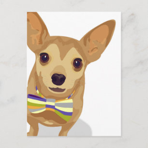 Chihuahua in a bowtie on white background postcard