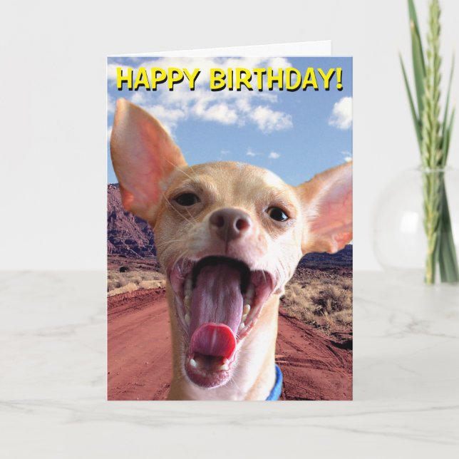 Chihuahua in desert birthday card (Front)