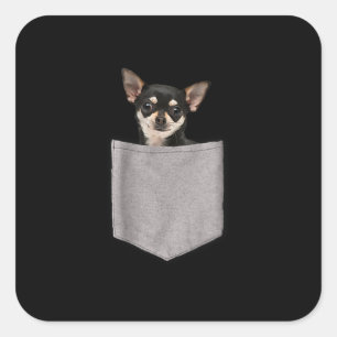 chihuahua in pocket  chihuahua lovers gifts square sticker