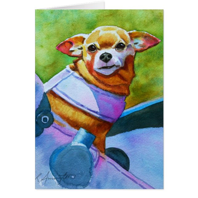 Chihuahua in Stroller (Front)