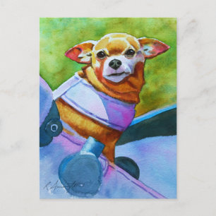 Chihuahua in Stroller Postcard