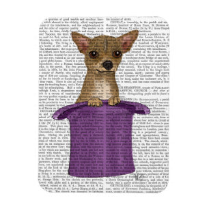 Chihuahua in Top Hat Magnet