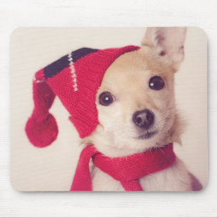 Chihuahua In Winter Cap Mouse Mat