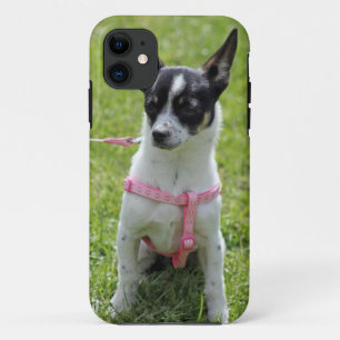 chihuahua  iphone case