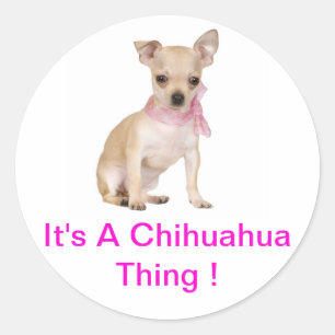 Chihuahua It's A Chihuahua Thing Classic Round Sticker