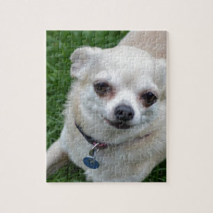Chihuahua Jigsaw Puzzle
