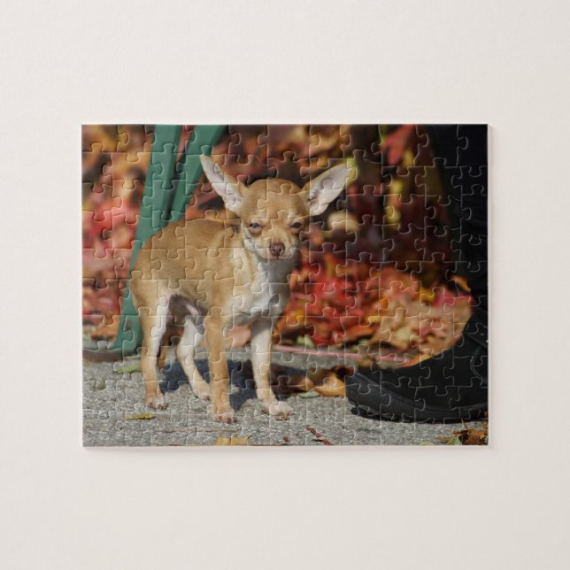 Chihuahua Jigsaw Puzzle (Horizontal)
