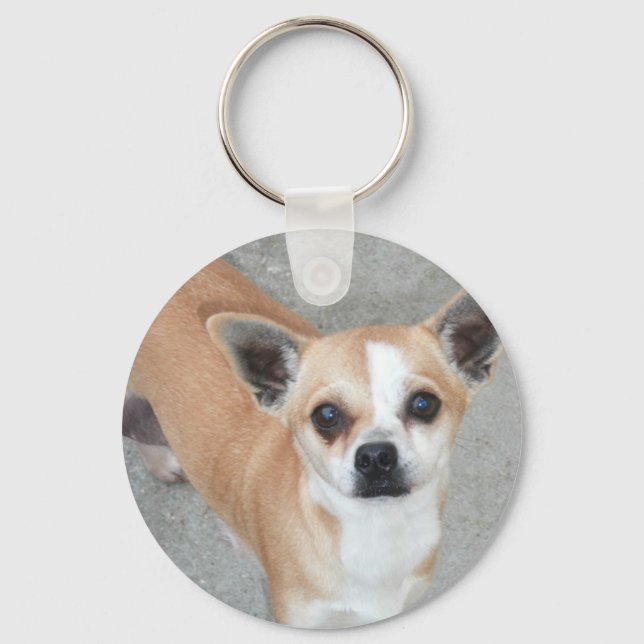 CHIHUAHUA KEY RING (Front)