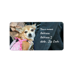 Chihuahua Label