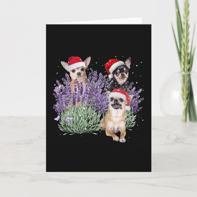 Chihuahua Lavender Flower Christmas Shirt Chihuahu Card (Front)