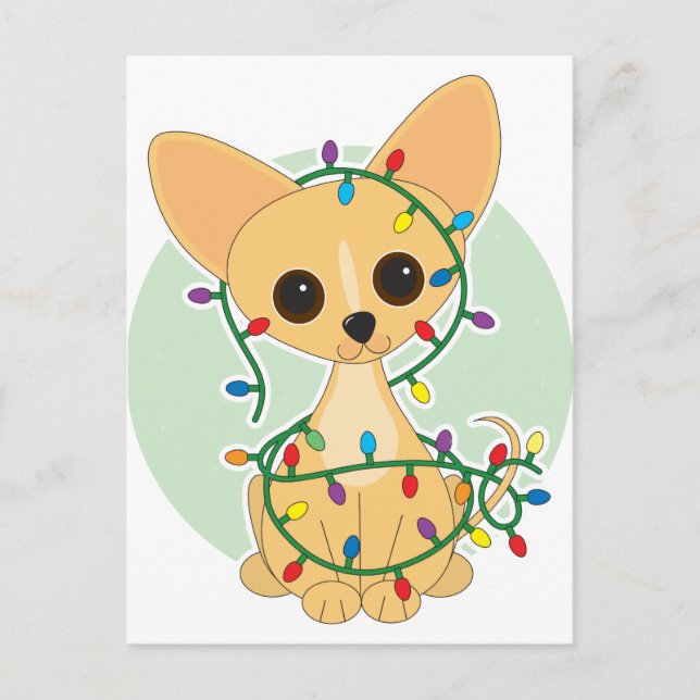 Chihuahua Lights Postcard (Front)