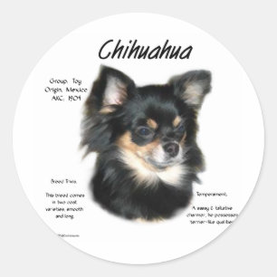 Chihuahua (long) History Design Classic Round Sticker