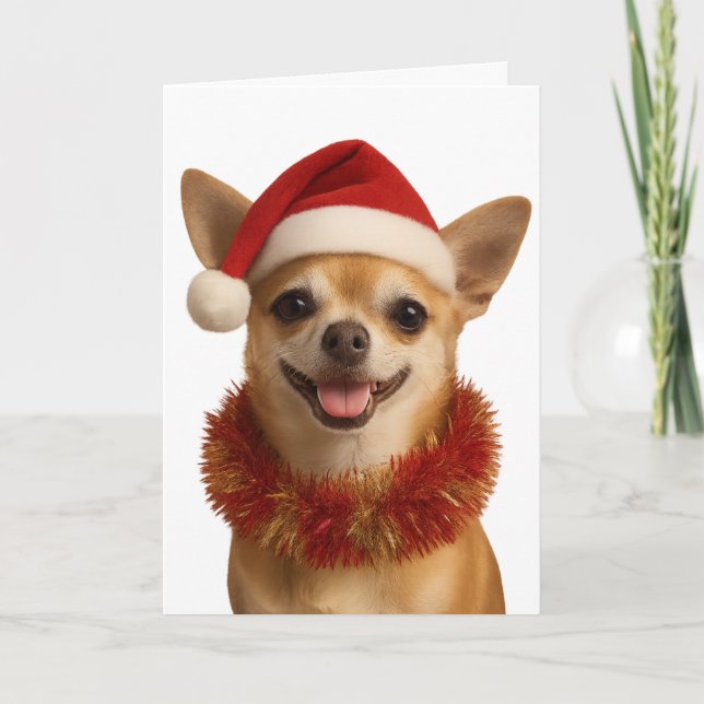 Chihuahua looking cheeky Santa hat Christmas card (Front)