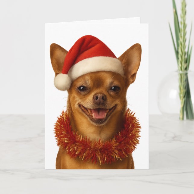 Chihuahua looking cheeky Santa hat Christmas card (Front)