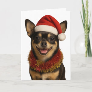 Chihuahua looking cheeky Santa hat Christmas card