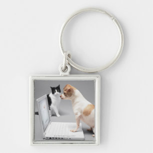 Chihuahua looking into the screen of a laptop key ring