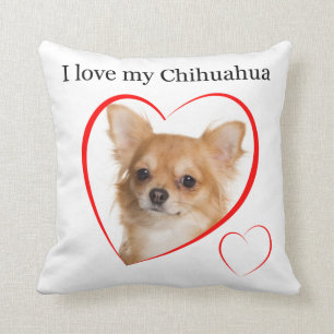 Chihuahua Love Pillow #1