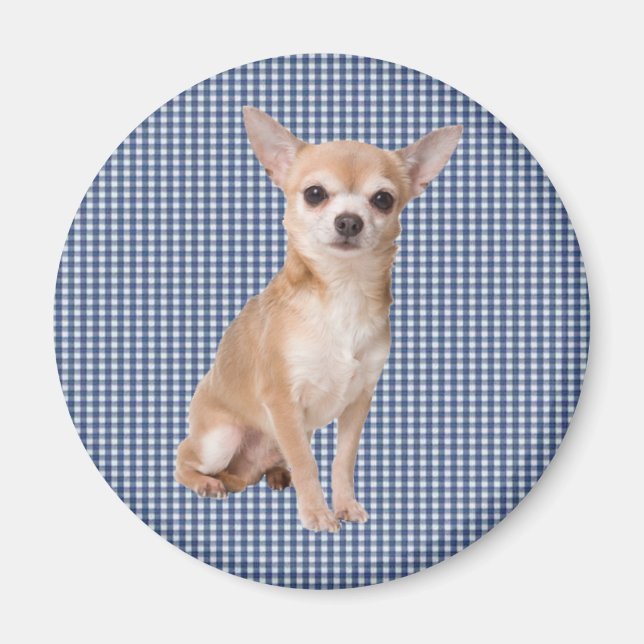 Chihuahua Magnet (Front)