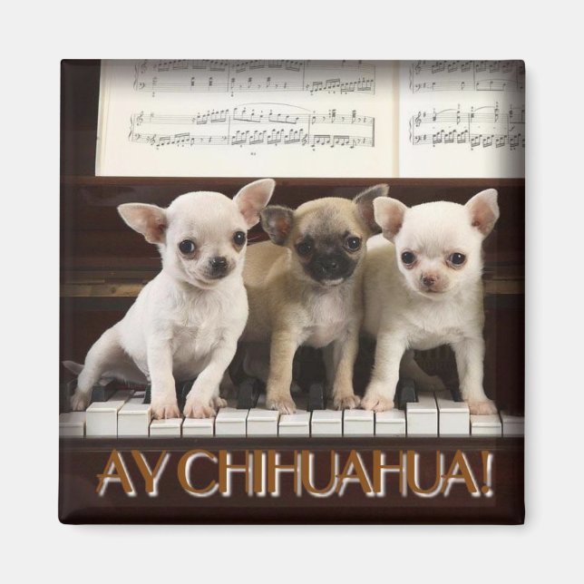 Chihuahua Magnet (Front)
