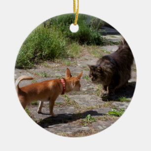 Chihuahua Meets Cat Ceramic Tree Decoration